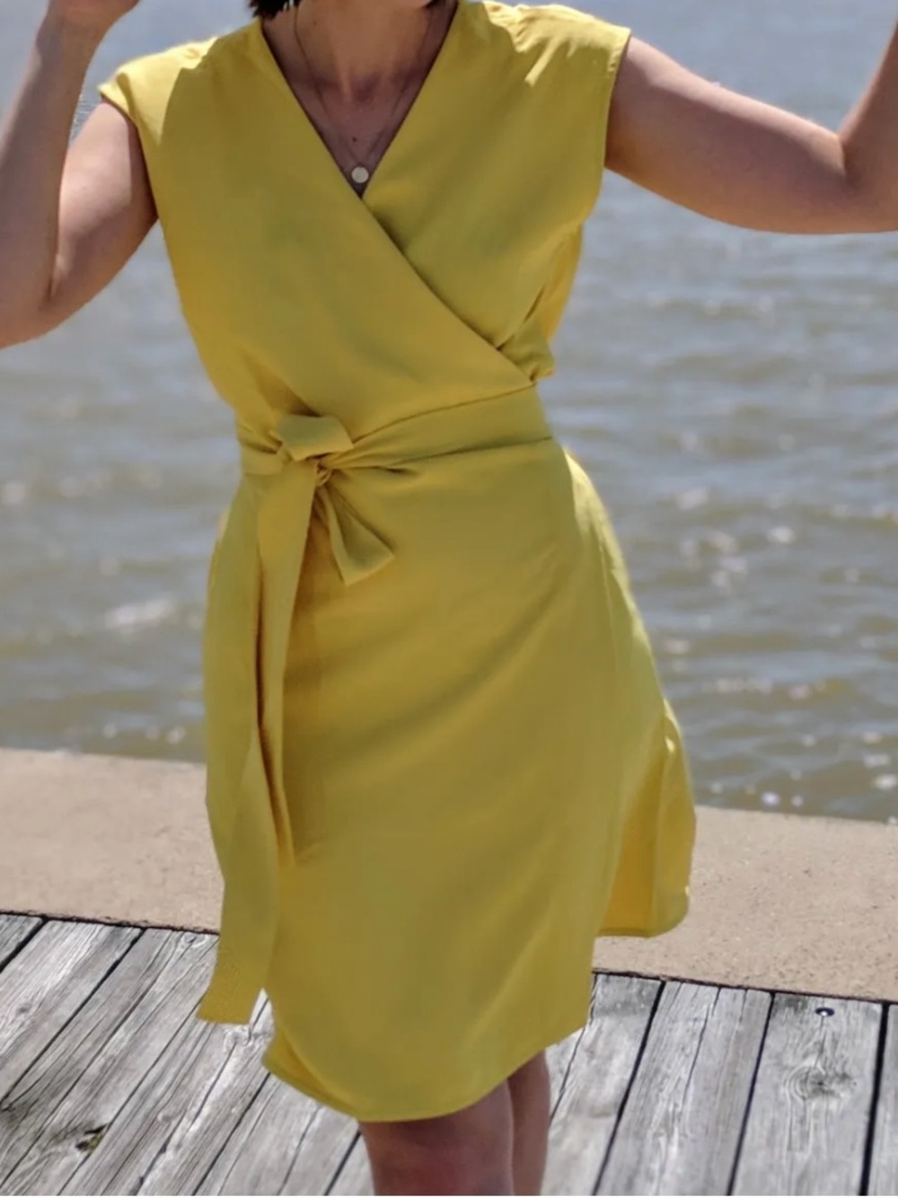 Everlane Black V-Neck Belted Mini Dress - Picture 6 of 7
